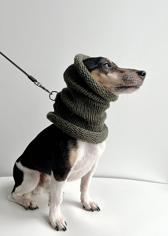 FOR PETS Tube scarf