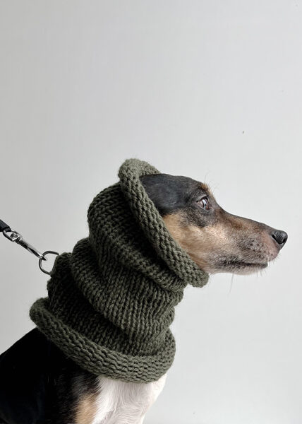 FOR PETS Tube scarf knitted wool