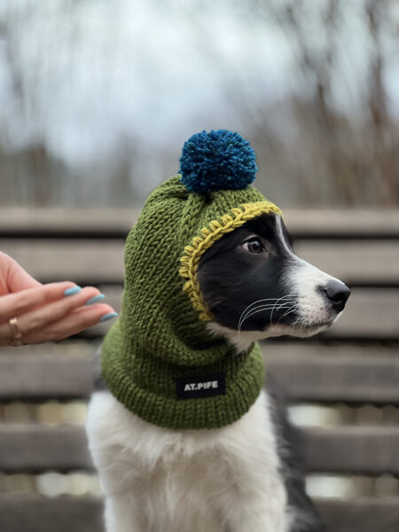 FOR PETS hat-balaclava knitted wool