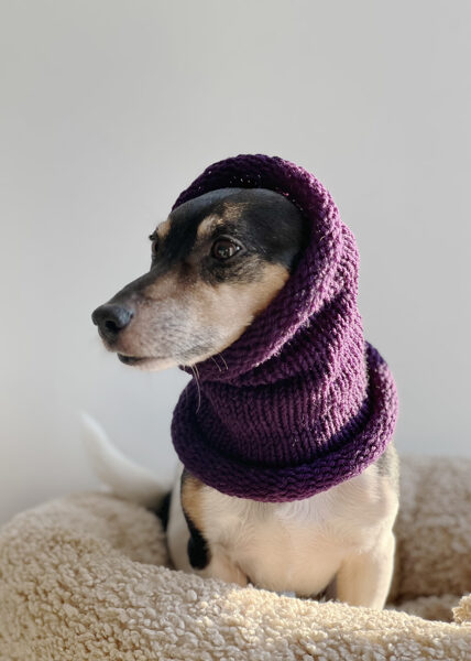 Knitted wool PETS TUBE SCARF | purple