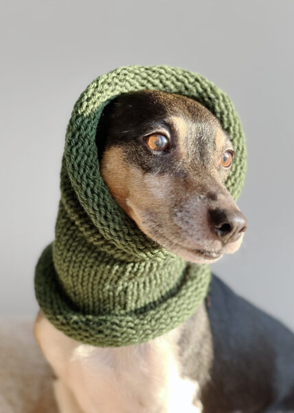 Knitted wool PETS TUBE SCARF | forest green