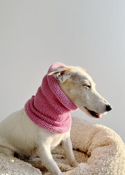 Knitted wool PETS TUBE SCARF | pink