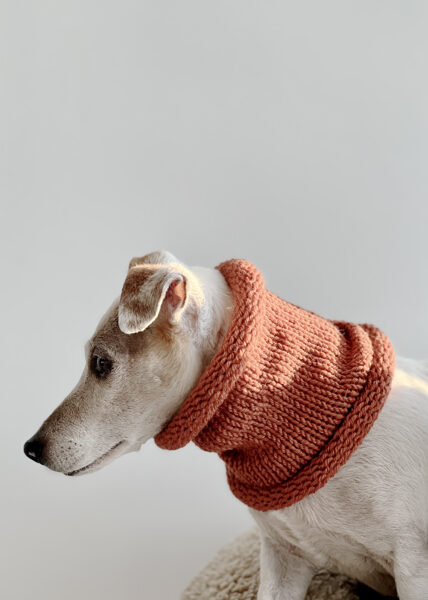 Knitted wool PETS TUBE SCARF | dark orange