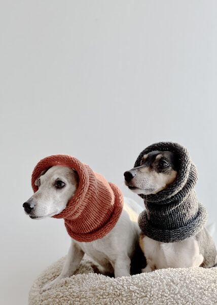 Knitted wool PETS TUBE SCARF | dark orange
