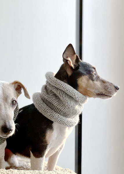 Knitted wool PETS TUBE SCARF | light gray