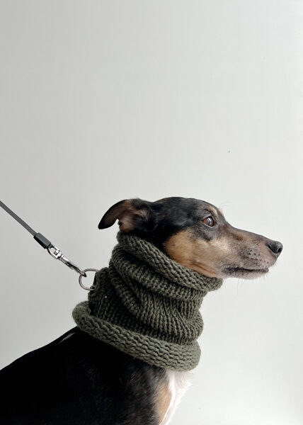 Knitted wool PETS TUBE SCARF | dark olive